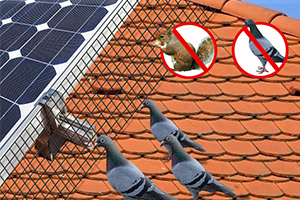 bird proofing mesh