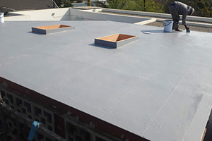 Concrete roofs