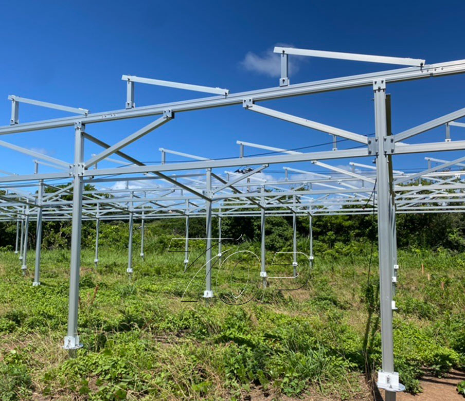 TopEnergy, 일본 20여개 농장 태양광 패널 구조 해결 위해 공급